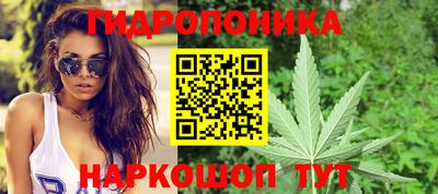 СК Краснознаменск