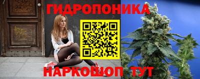 сатива Краснокаменск