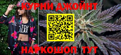 сатива Краснокаменск