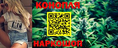 сатива Краснокаменск