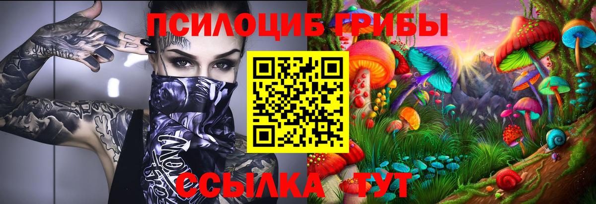 Псилоцибиновые грибы MAGIC MUSHROOMS Кириши