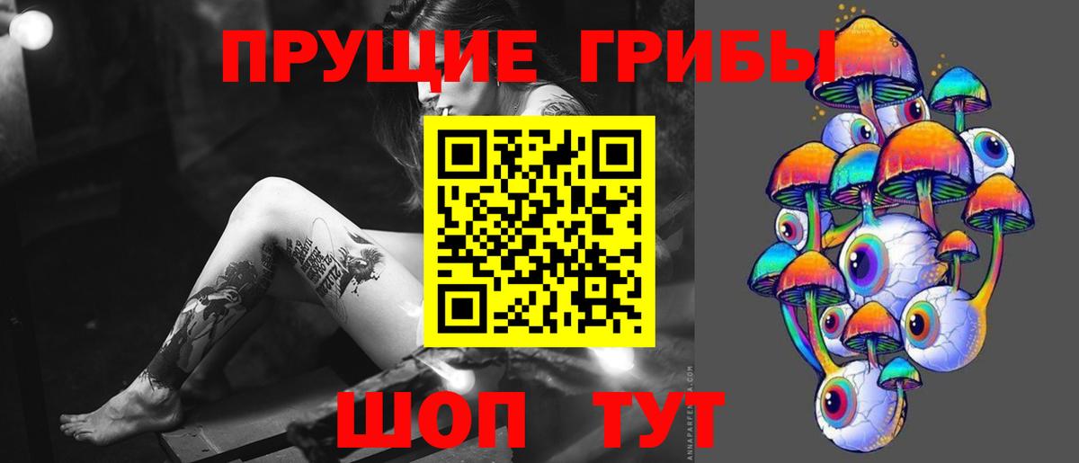 цены   Псилоцибиновые грибы MAGIC MUSHROOMS  Вход с VPN  Кириши 